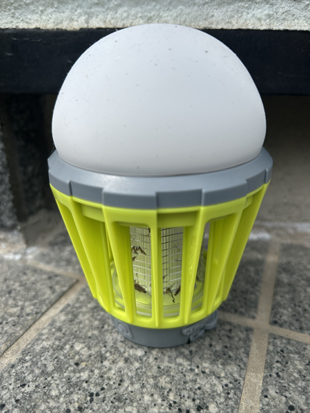 蚊を取る電気