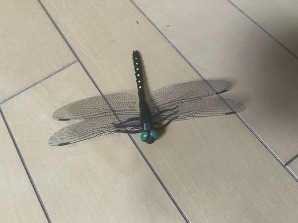 蚊よけにオニヤンマ君