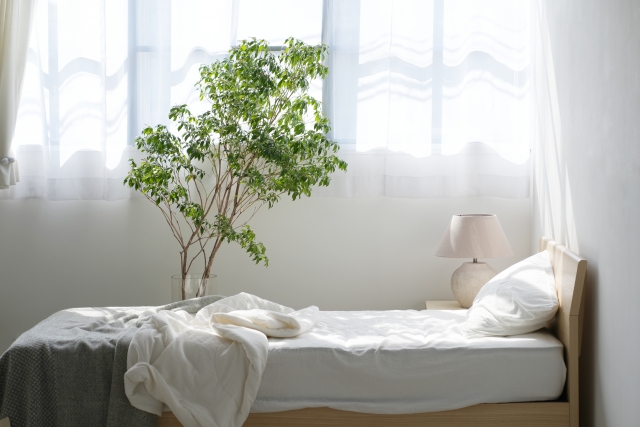 北枕が健康に良いのでおすすめです